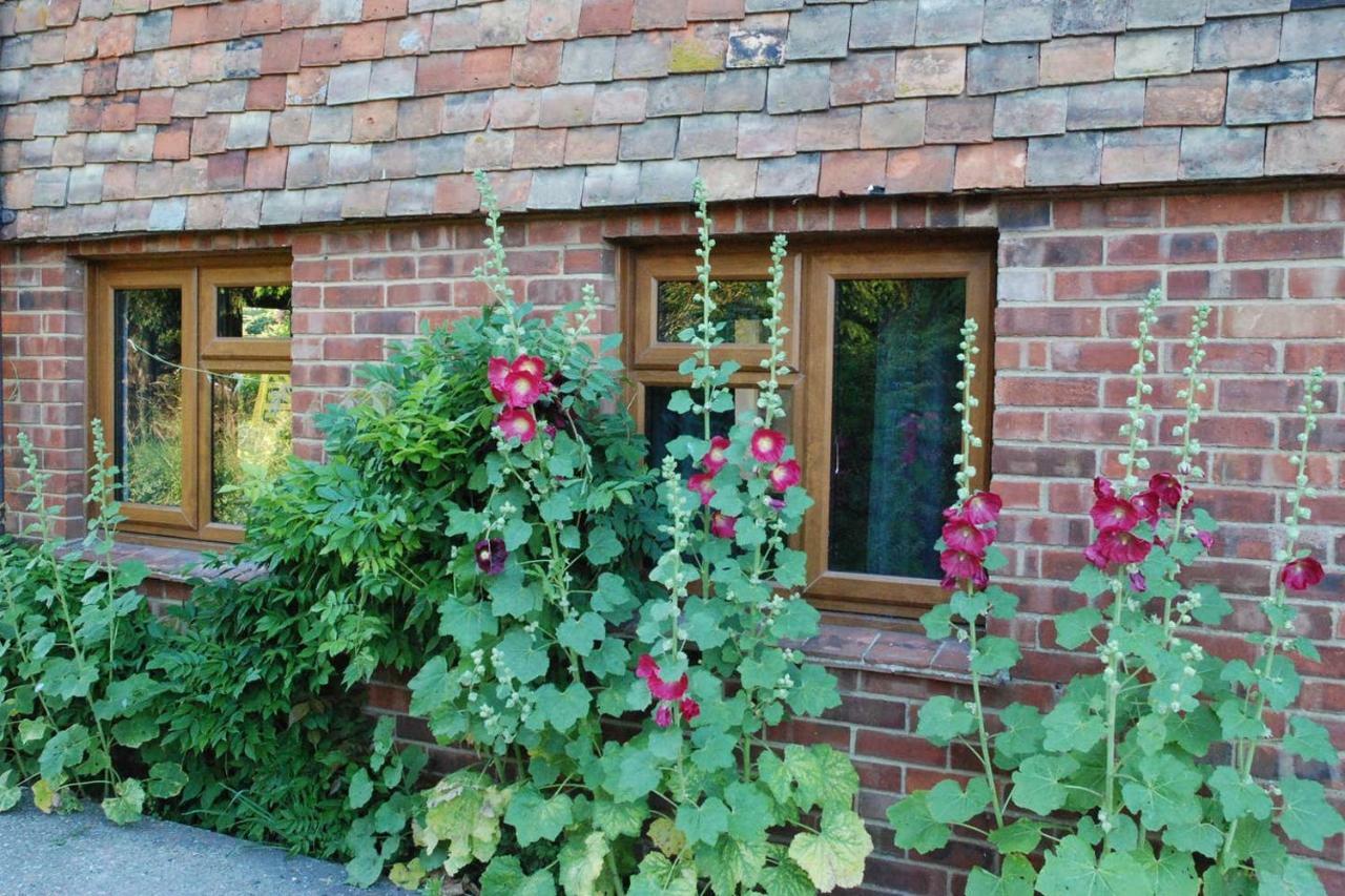 Hollyhock Cottage Ashford  Exterior foto